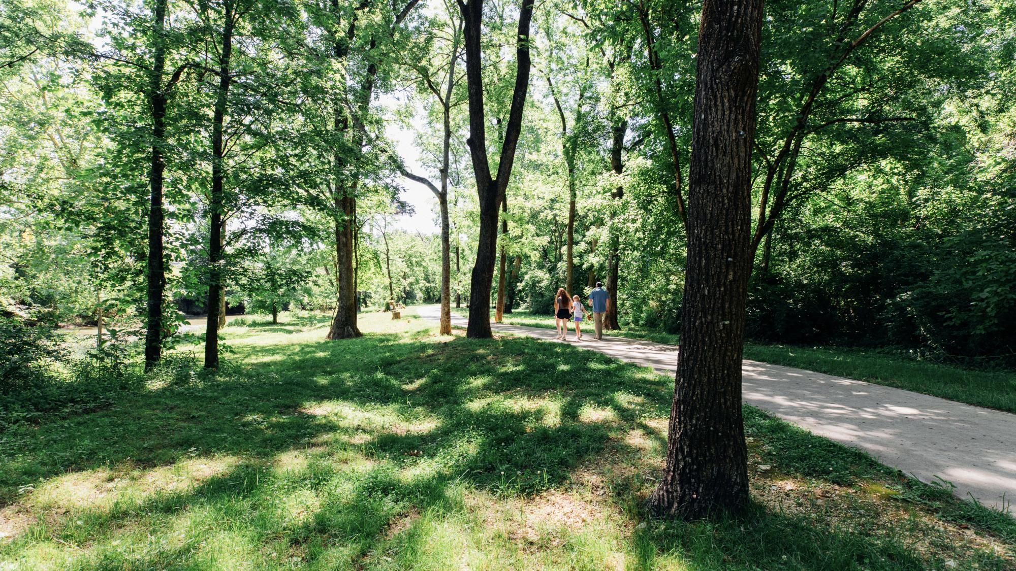 paved path in woods