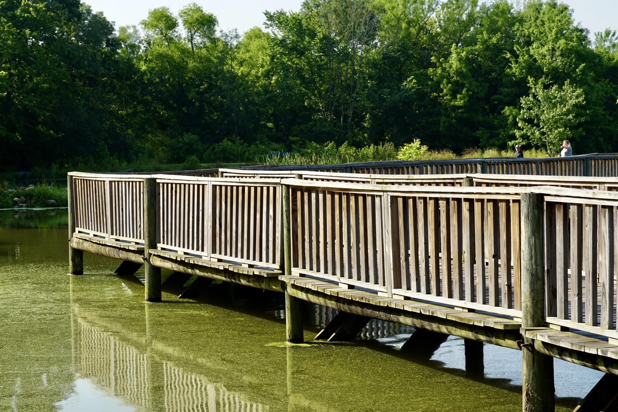 Wood bridge over pond